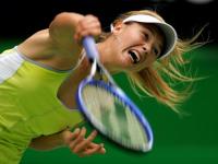 爱游戏app下载-比利时选手技高一筹，力克对手的简单介绍