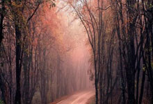 罗恩主场战果喜人，稳住排名