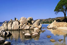 老鹰成功晋级，创造历史里程碑