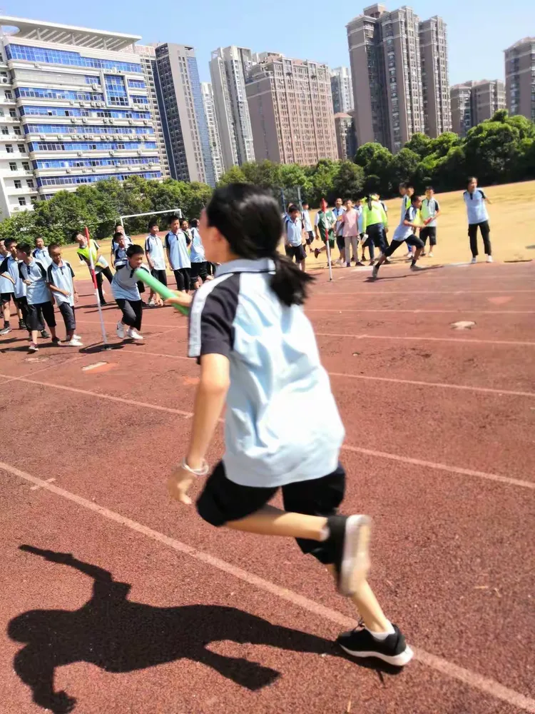 包含球场上的华丽花絮，让人目不转睛的词条