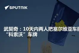 科索沃选手大放异彩，金牌人见人爱的简单介绍