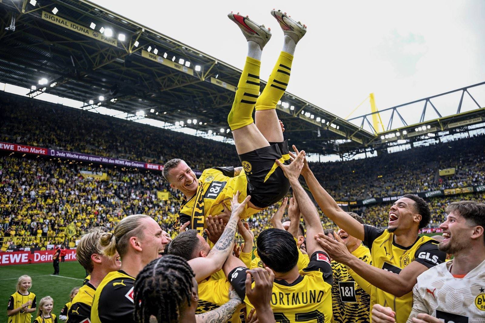 关于球星们的投入让比赛更富激情的信息