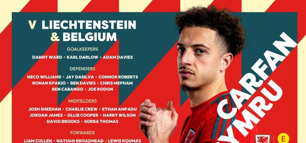 欧预赛：挪威队主帅解读胜利秘诀，提升球员信心的简单介绍