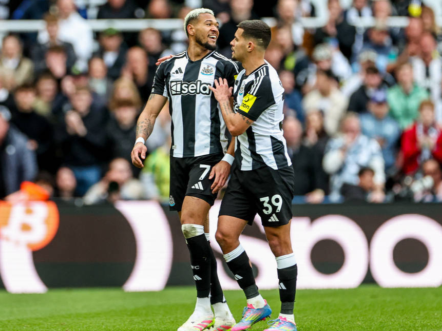 关于纽卡斯尔遭遇失利，积分榜位置下滑的信息